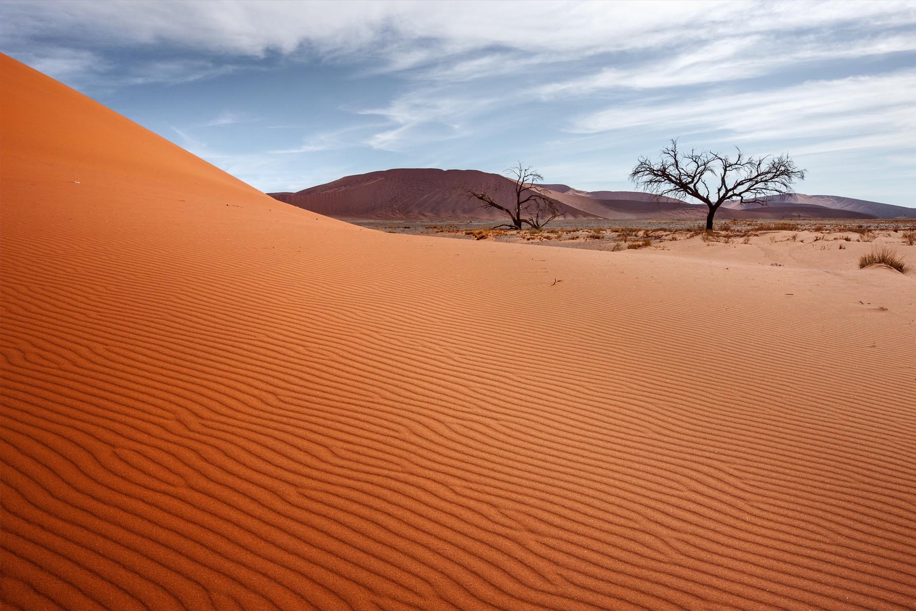 Namib Desert, Deadvlei, Namibia