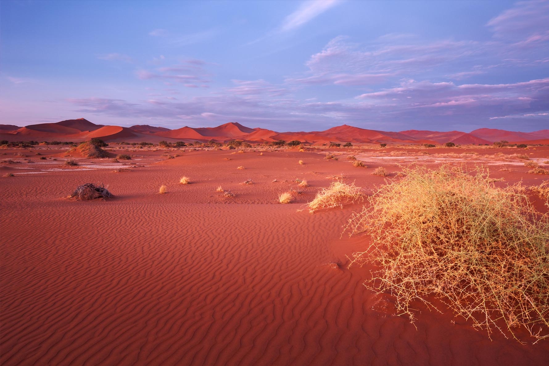 Deadvlei, Namib Desert, Sossusvlei Region