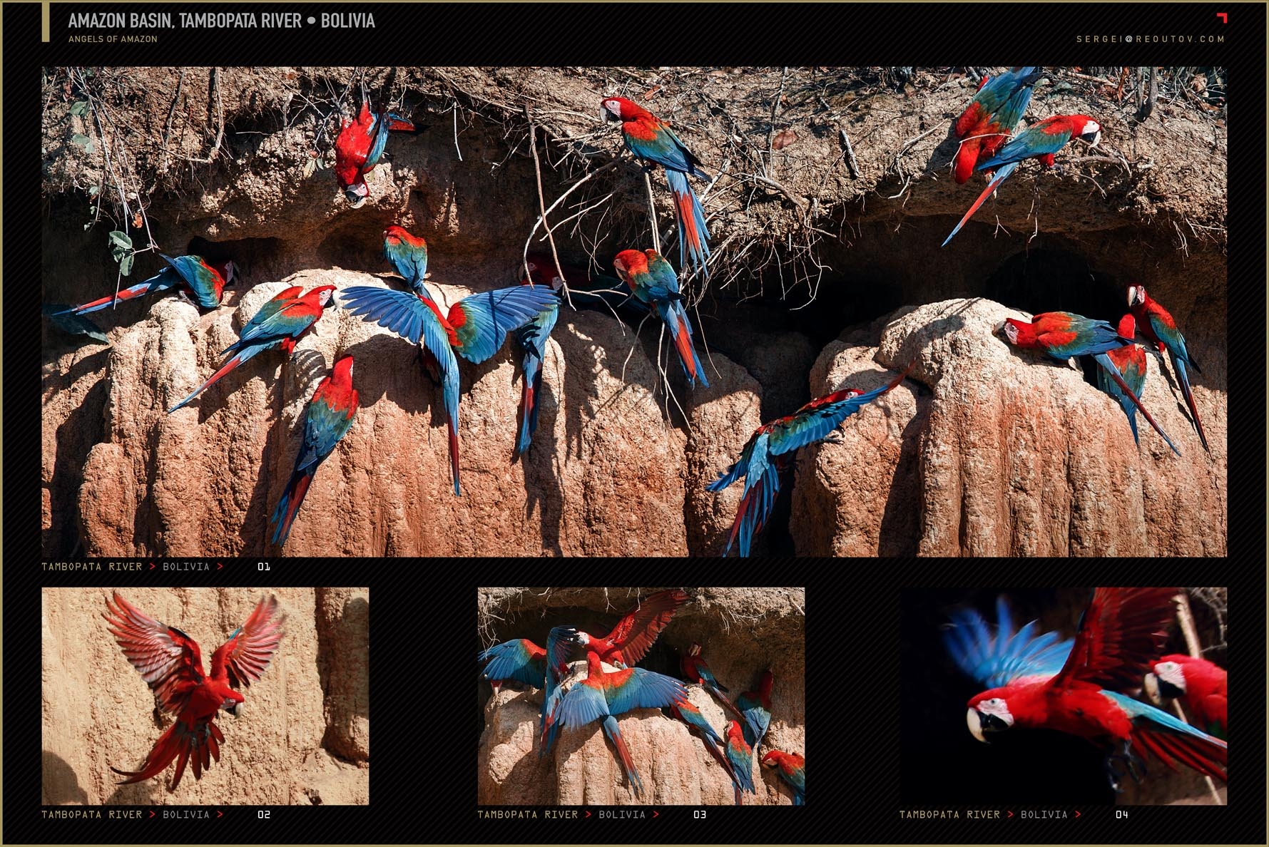 Macaw Clay Lick, El Chuncho