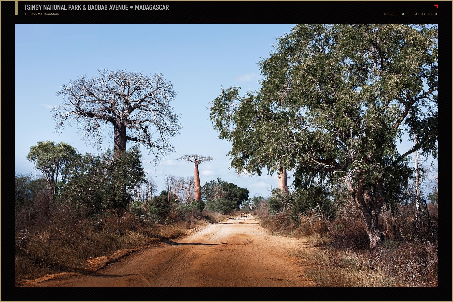 Baobabs Avenue, Menabe region,Madagascar
