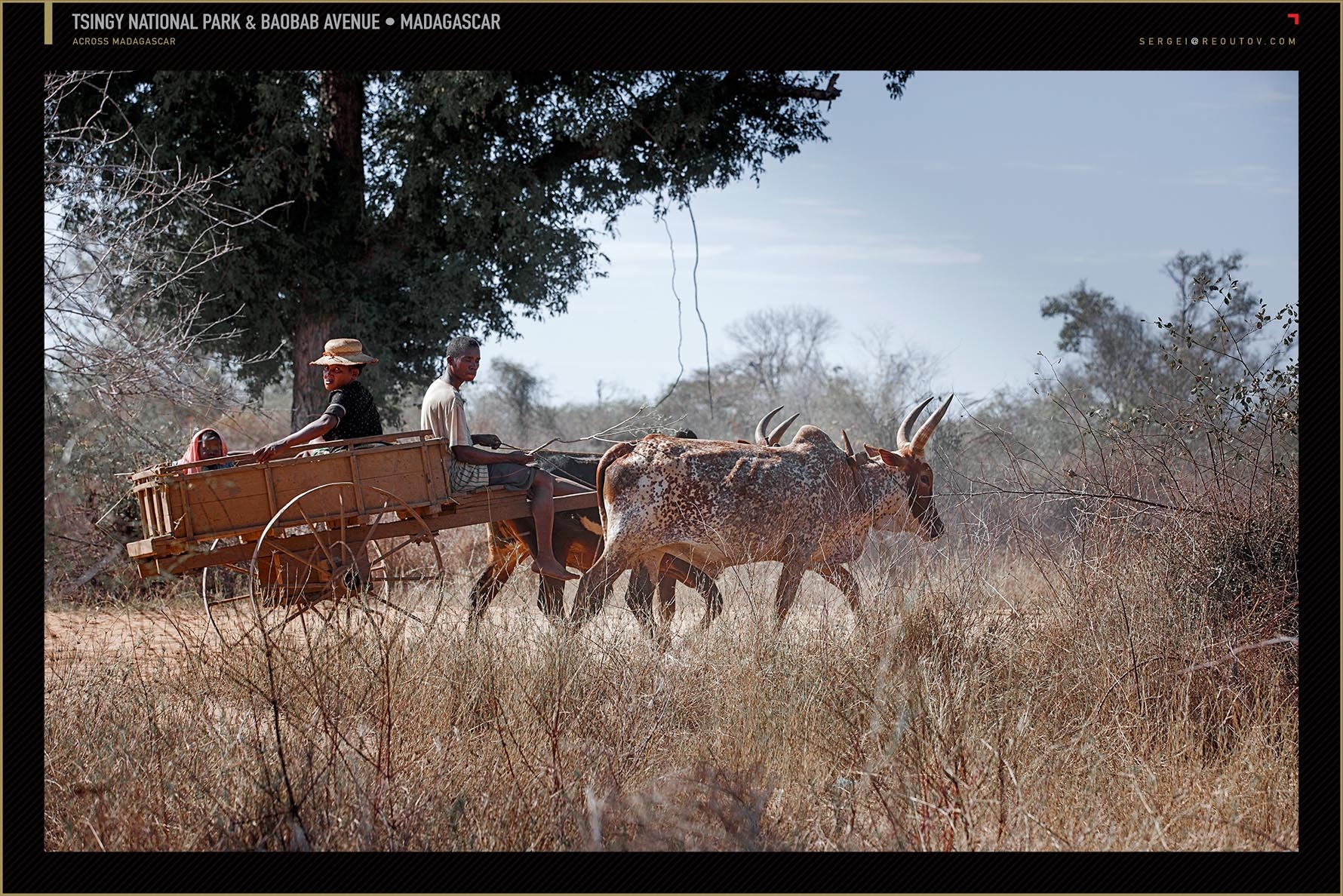 Ox cart in Madagascar