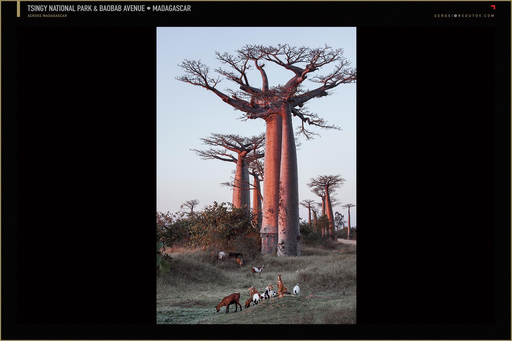 Baobabs Avenue, Menabe region, Madagascar